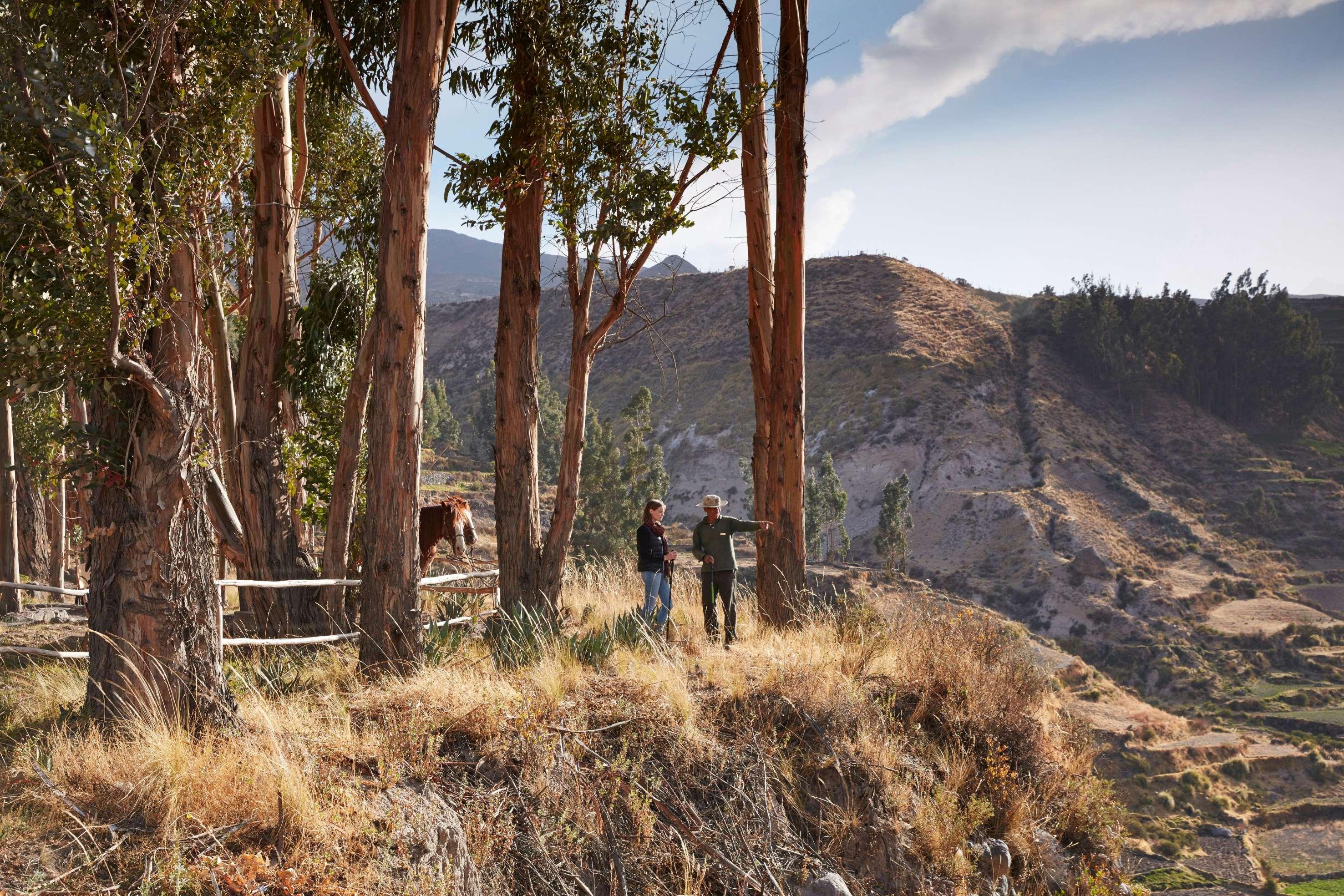 Las Casitas, A Belmond Hotel, Colca Canyon Yanque المظهر الخارجي الصورة