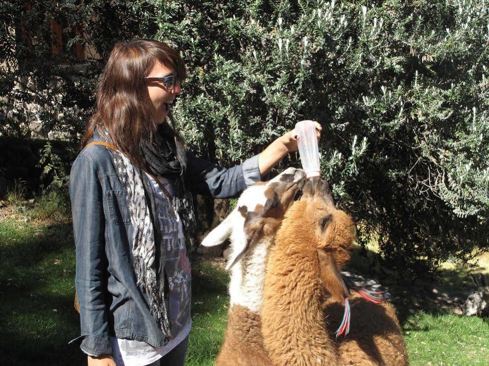 Las Casitas, A Belmond Hotel, Colca Canyon Yanque المظهر الخارجي الصورة